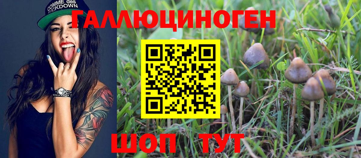 Галлюциногенные грибы Psilocybe  Галлюциногенные грибы мицелий  Вход с VPN  Холмск 