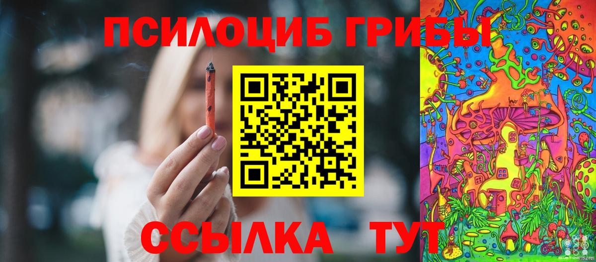 Псилоцибиновые грибы Psilocybine cubensis Холмск